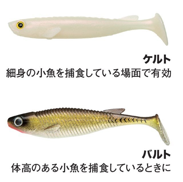 オオモンハタ、アカハタ、キジハタをジグヘッドで釣り分ける方法 | 魚種別釣りガイド